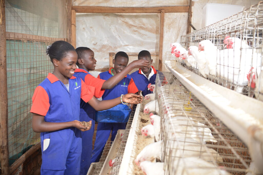 Collaborative academic study