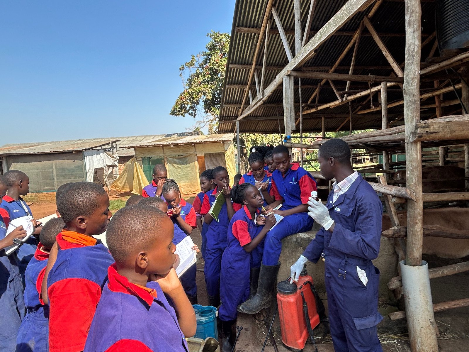 Kids observing veterinary procedures